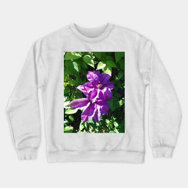 Purple clematis photograph Crewneck Sweatshirt by esvb